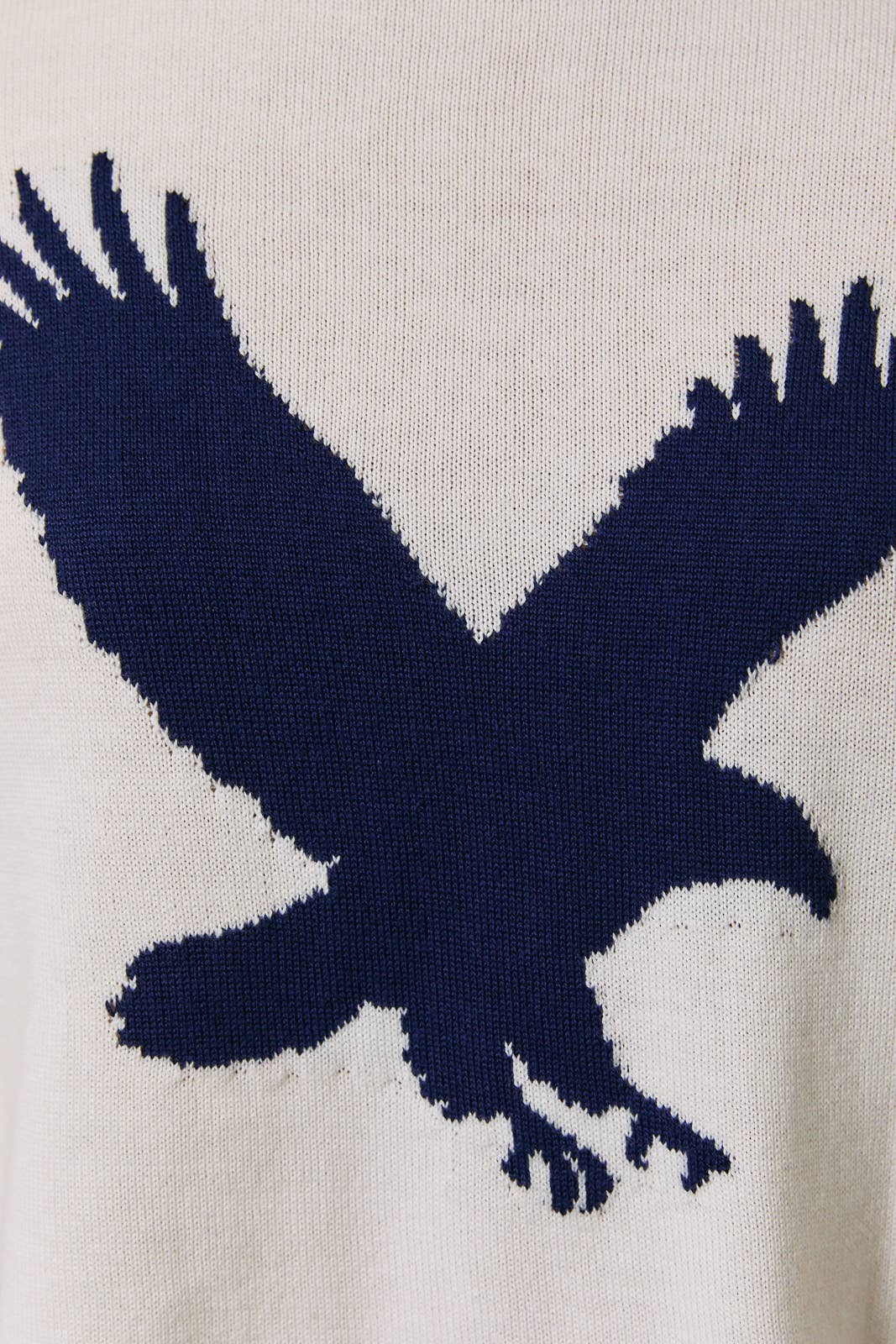 Mock Neck Eagle Sweater