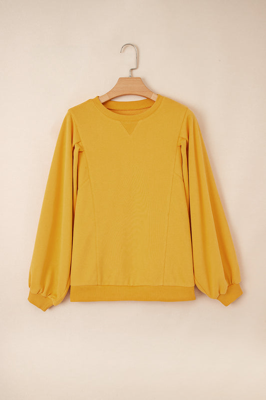 Balloon Sleeve Sweatshirt
