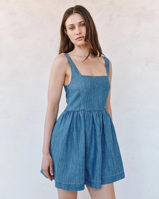 Bella Dahl Fit and Flare Mini Dress